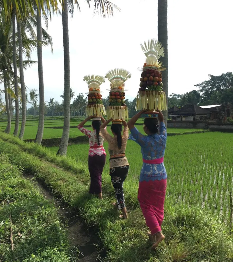 Villa Alam Surya Ubud